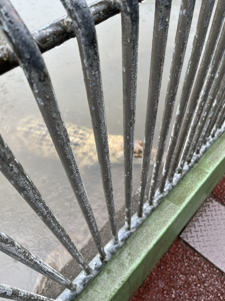 鬼山地獄のワニ