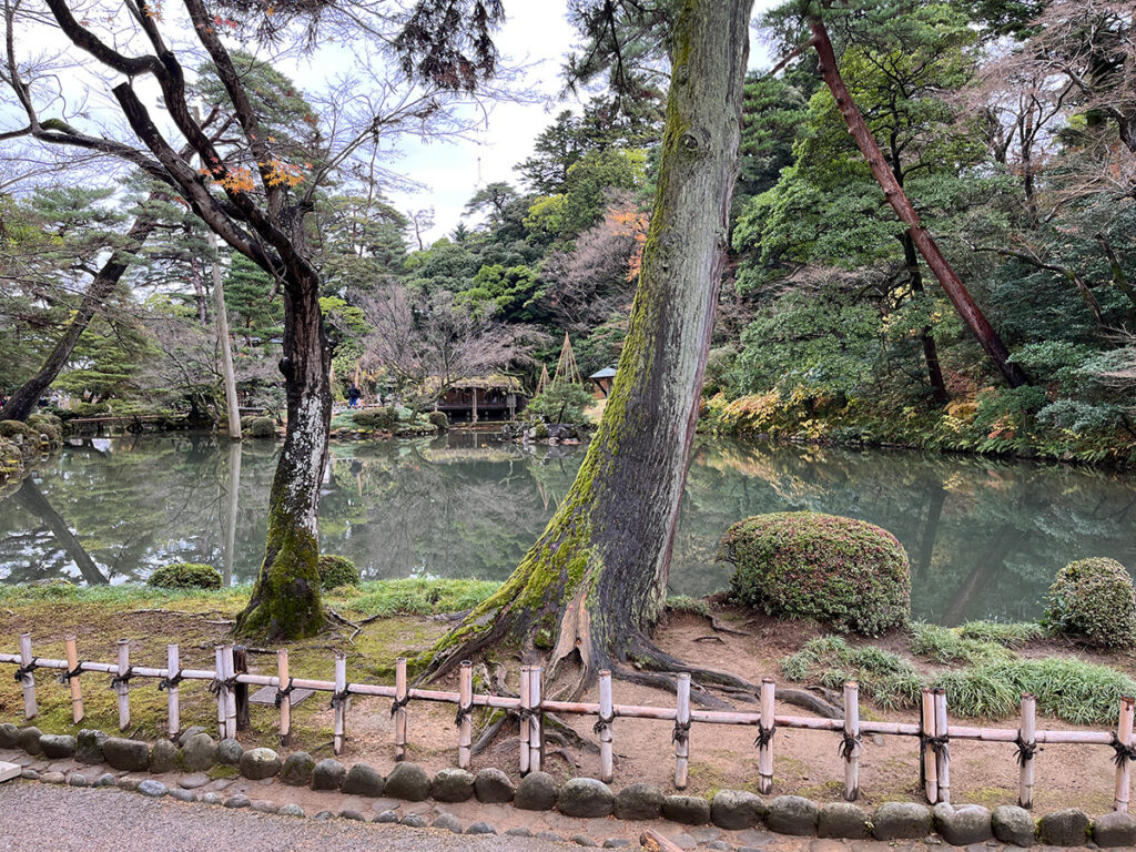 兼六園内の池と樹木2枚目