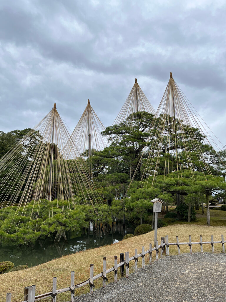 兼六園内の雪吊り